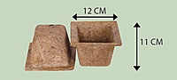 Coco Spanish Cup | 3 Inch Square Coir Planter | Natural Coconut Coir Pot