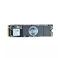 Secure Net SSD - S-NVM 256 GB NVMe