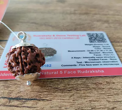 5-mukhi-rudraksha-Tested