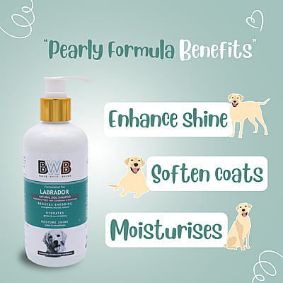 BWB LABRADOR SHAMPOO