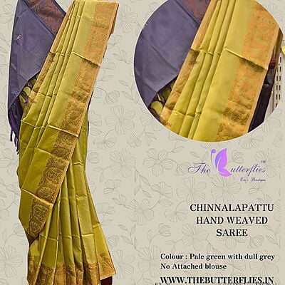 CHINNALAPATTU HAND WEAVED SAREE 3