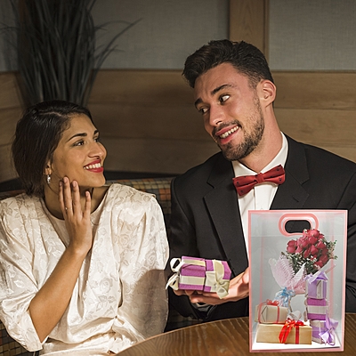 Pack of 6 – Transparent Goodie Bags Clear Gift Bags Medium Brown Bags for Return Gift and More