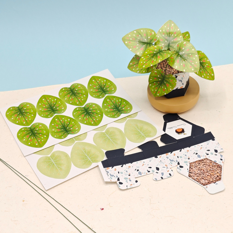 Mini Paper Plants – Set of 3 Illustrated DIY Desk Planters
