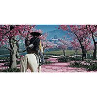 Sony PS5 Ghost of Yotei (Standard)