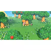 Nintendo Animal Crossing: New Horizons (Switch)