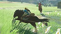 Nintendo The Legend of Zelda: Breath of the Wild |Switch| Pre owned|