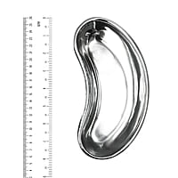 Dentis Dental Kidney Tray SS (Autoclavable)