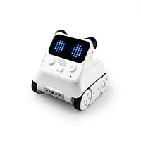 Codey Rocky Codey Rocky