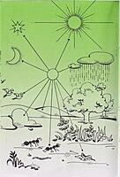 Value Oriented Moral Lessons Number - 1