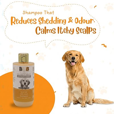 BWB GOLDEN RETRIEVER SHAMPOO_250ML BWB GOLDEN RETRIEVER SHAMPOO_250ML