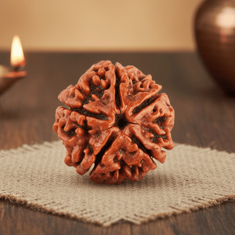 5 Mukhi Rudraksha – Natural & Certified
