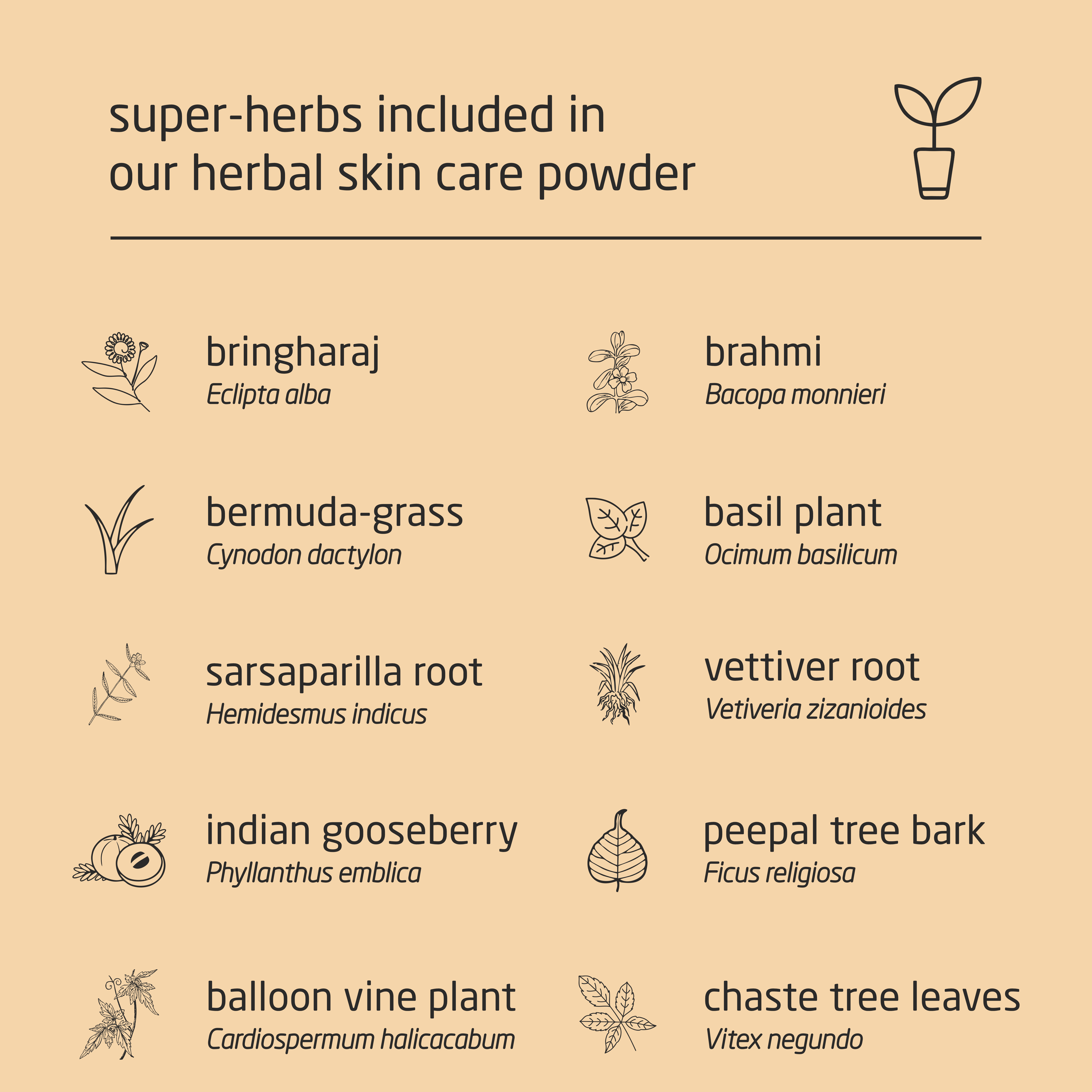 Super Premium Herbal Skin Care Powder - 100g