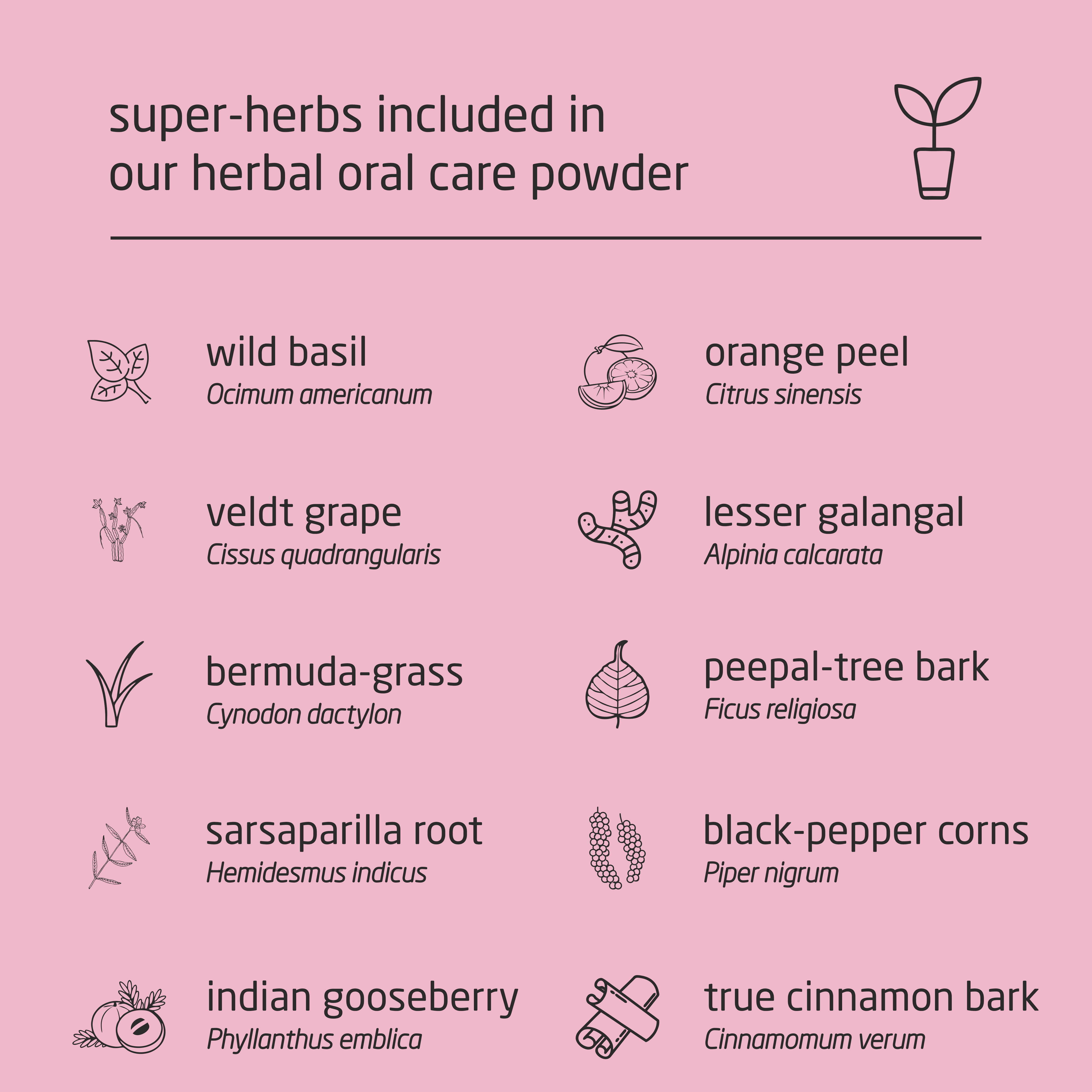 Super Premium Herbal Oral Care Powder – 50g Super Premium Herbal Oral Care Powder – 50g