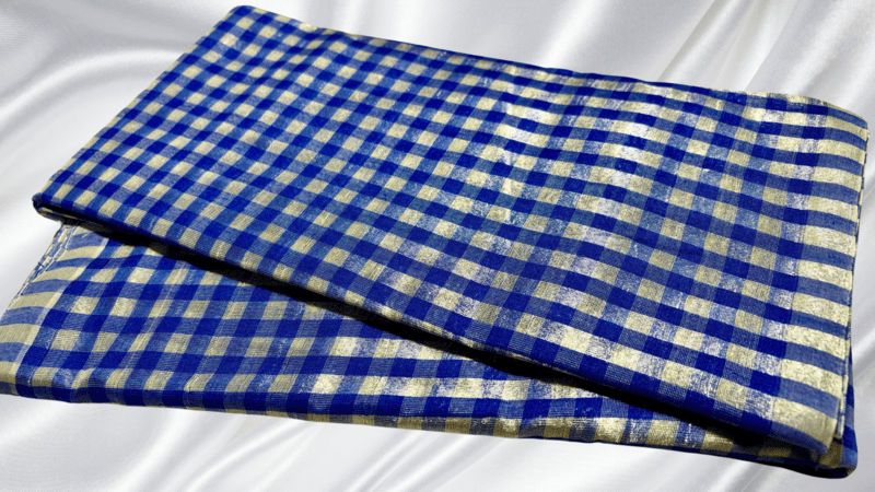 Payal Cotton Mixed Silver Check Saree - Ink Blue