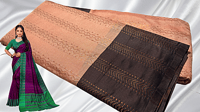 Arani Galaxy Copper Pattu Saree - Cream Arani Galaxy Copper Pattu Saree - Cream