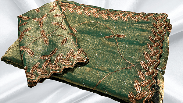 Super Hit Space Embroidery Stone Work Saree - Rexona