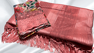 Red Chilli Foreign Style Saree - Peach