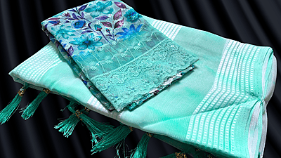 Colourful Silver Line Work Saree - Distemper Green