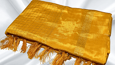 Premaloka Fancy Mysore Check Saree - Mango