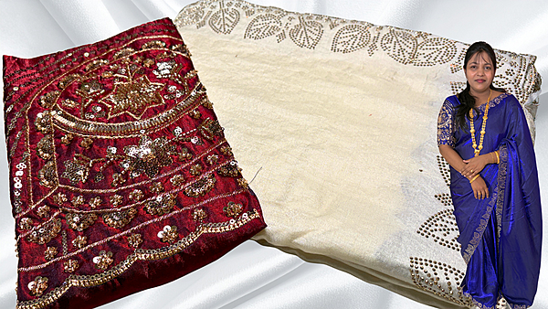 Paradise Stone Work Designer Saree - White