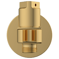 AC-GG-34 Wall Outlet With Shower Hook & Shutoff Valve (Glossy Gold)