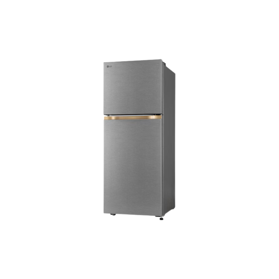 LG 225L Double Door Refrigerator with Smart Mode, Fresh Zone, Dazzle Steel, 1 Star