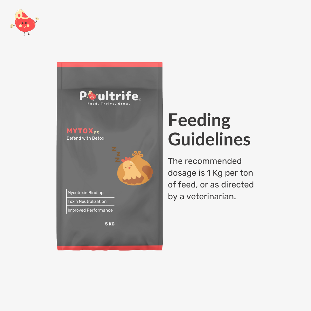 MYTOX FS – Advanced Mycotoxin Binder for Feed Safety