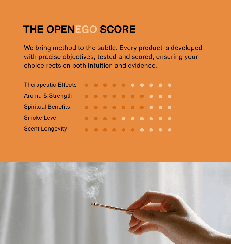 01- Modern collection