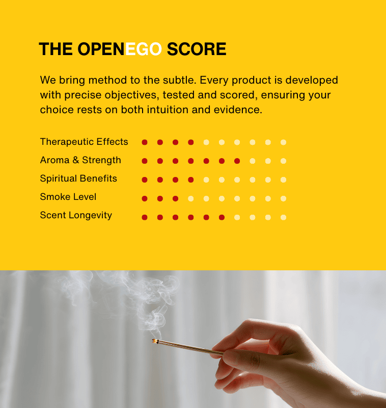 02- modern collection