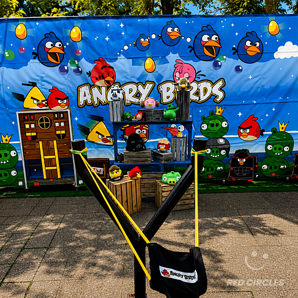 ANGRY BRIDS