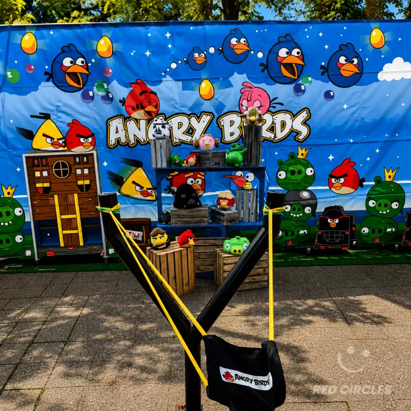 ANGRY BRIDS