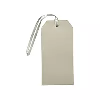 Pack of 10 Assorted Pastel Colour 120x60mm Strung Tags