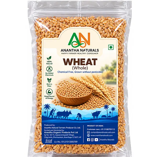 Wheat Whole