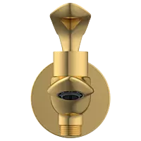 KA-GG-3106 2 Way Bib Tap With Wall Flange (Gold)