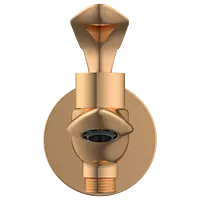 KA-RG-3106 2 Way Bib Tap With Wall Flange (Rose Gold)