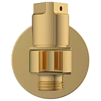 AC-GG-34 Wall Outlet With Shower Hook & Shutoff Valve (Glossy Gold)