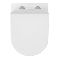 EWC-25112PP Cosmo S Trap (4" Trap) Washdown EWC With Installation Kit With Normal Close Seat Cover, Hinges, Fixing Accessories