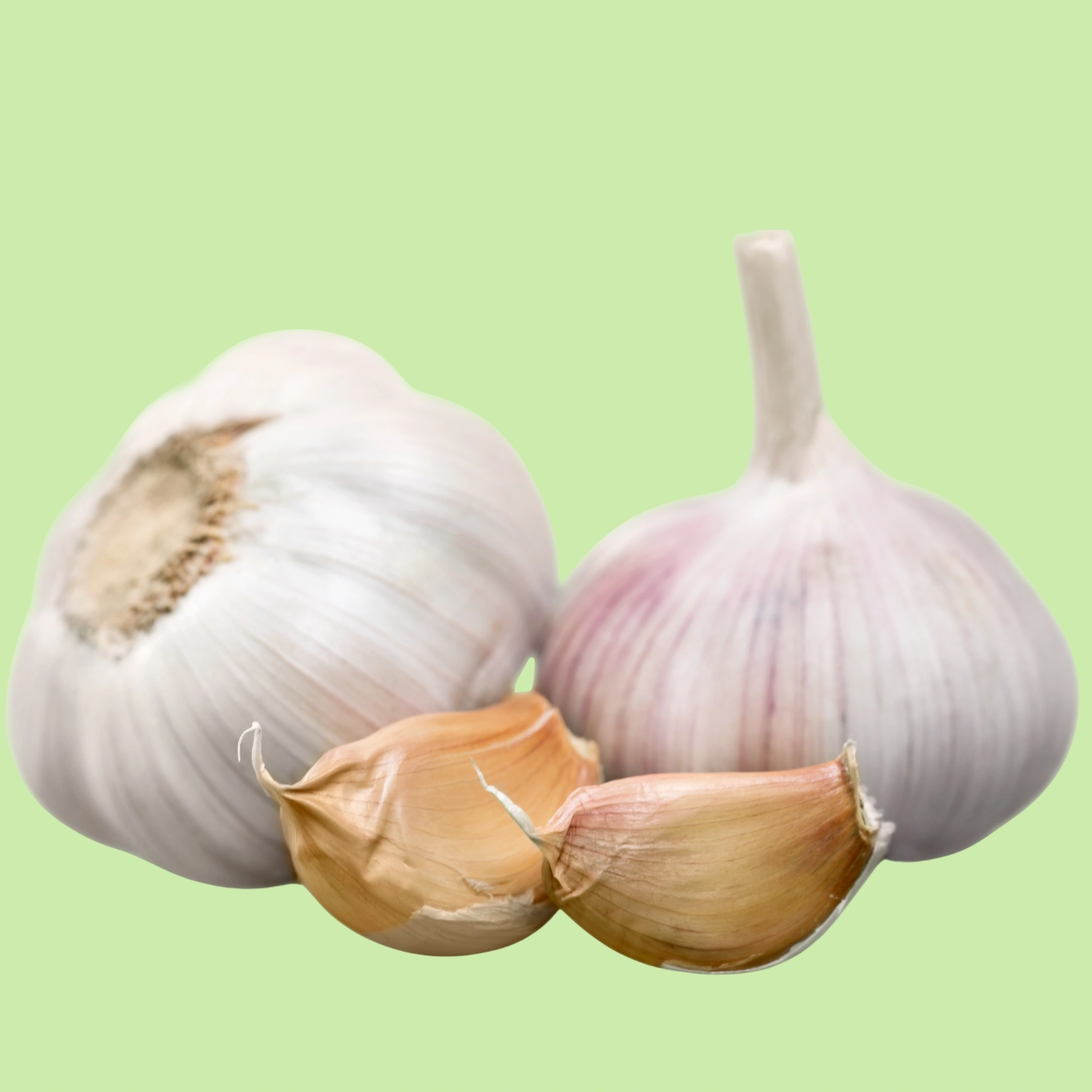 Garlic - 250g