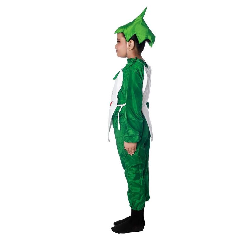 Radish Vegetable Fancy Dress Costume Radish Vegetable Fancy Dress Costume