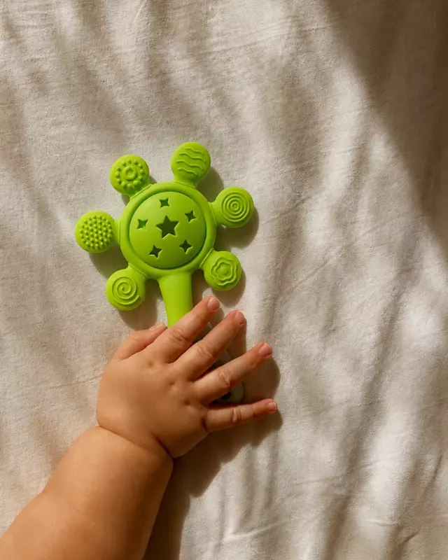 2-in-1 Musical Silicone Rattle Teether Toy
