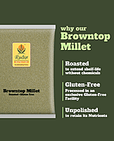 Browntop Millet | Unpolished and Roasted