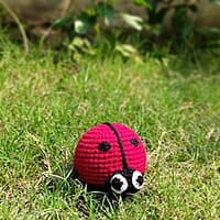 Ladybird Medium Rattle