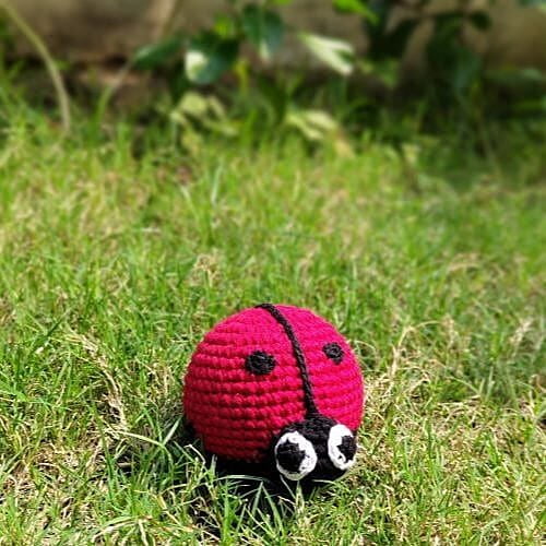 Ladybird Medium Rattle
