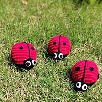 Ladybird Medium Rattle