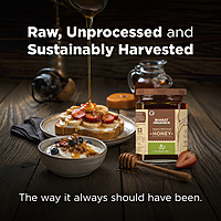 Organic Wild Forest Honey 500 g