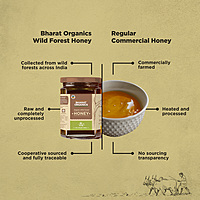 Organic Wild Forest Honey 500 g