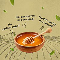 Organic Wild Forest Honey 500 g