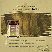 Organic Wild Forest Honey 500 g