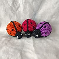 Ladybird Small Rattle