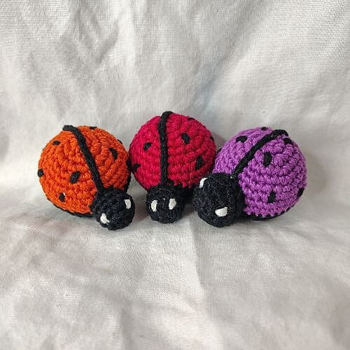 Ladybird Small Rattle